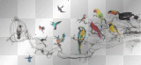 birds of a cage