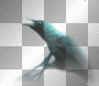 Crow