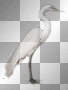 WIOSNA SPRING  TRANSPARENT SUMMER BIRD