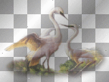 TRANSPARENT GRASS GREEN BIRD 