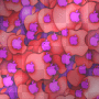 Apple Background
