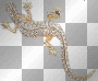 Lezard Lezard
