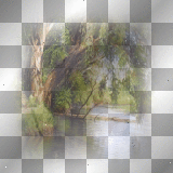 WIOSNA SPRING  TRANSPARENT SUMMER  WATER TREE SCENE