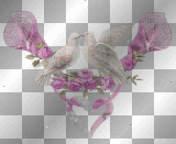 Doves by Lena Sacchetto