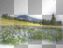 landscape spring ©dK
