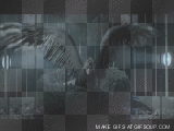 MilerzZ - Can´t be tamed!!