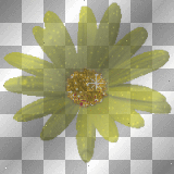 Deco Daisy Glitter Flower~Gold