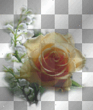 flowers ©dK