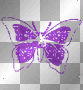 Mariposa purpura