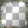 Frame flowers butterflies 