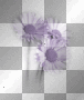 WIOSNA SPRING SUMMER TRANSPARENT FLOWER