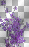 purple trees +myates7