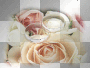 flowers & rings