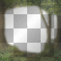mejserr forest frame