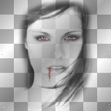 mejserr bella cullen