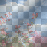 Transparent Flowers Background
