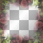RAMCIA  FRAME TRANSPARENT BORDER SUMMER SPRING FLOWER PINK