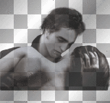Edward turns Bella Twilight Saga/Breaking Dawn transparent/black/white