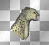 cheetah head