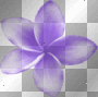 Deco Hawaiian-dream-flower~Purple