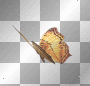 Butterfly 2