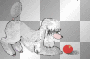 poodle