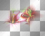 amon // summer flowers