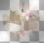 Background****FI