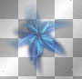 flower ©dK