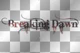 mejserr breaking dawn