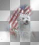 Memorial Day Memorial Day
