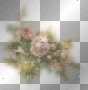 fleurs rose deco transparent -c