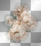 fleurs deco transparent beige -c