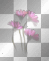 Deco flowers overlay