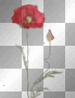 Red Flower
