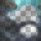 mejserr underwater frame / bg