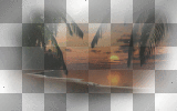 amon // summer background