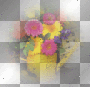 Background**FI