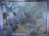 Dolphins under the sea