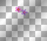 colorful flashing flower heart '