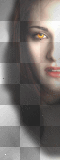 bella cullen breaking dawn
