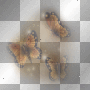 mejserr butterflies