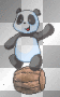 panda