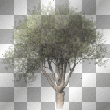 LATO SUMMER  TRANSPARENT DECO TREE GREEN