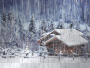 winter wonder land