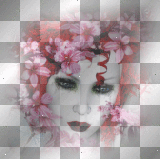 Fantasy woman face 