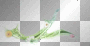 LATO SUMMER  TRANSPARENT DECO FLOWER WATER GREEN