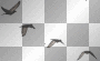 LATO SUMMER  TRANSPARENT DECO BIRD