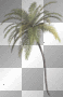 LATO SUMMER  TRANSPARENT DECO TREE PALM GREEN