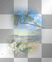 amon // summer background